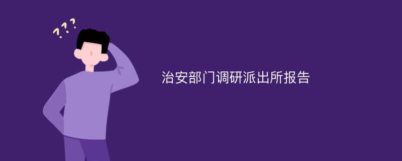 治安部门调研派出所报告