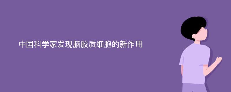 中国科学家发现脑胶质细胞的新作用