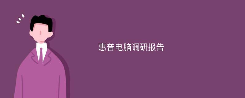 惠普电脑调研报告