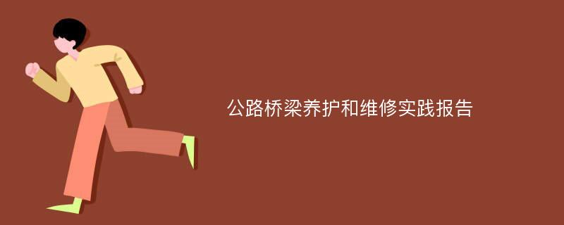 公路桥梁养护和维修实践报告