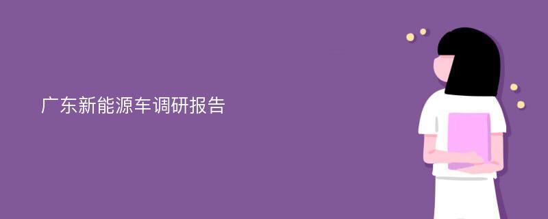 广东新能源车调研报告