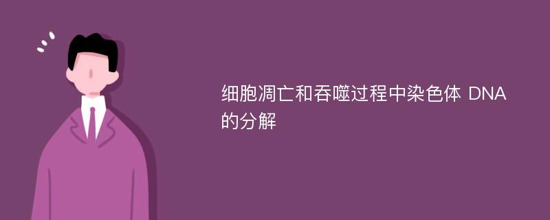 细胞凋亡和吞噬过程中染色体 DNA 的分解