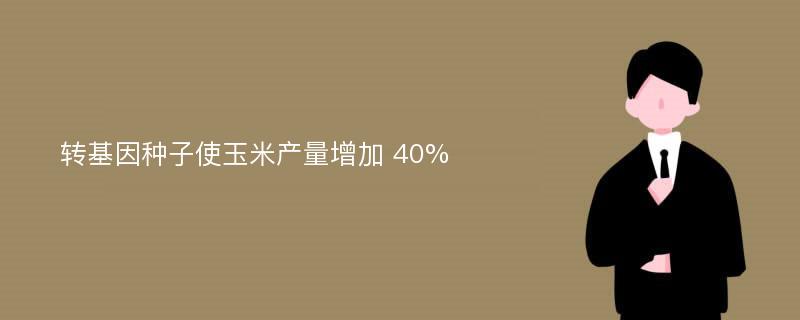 转基因种子使玉米产量增加 40%