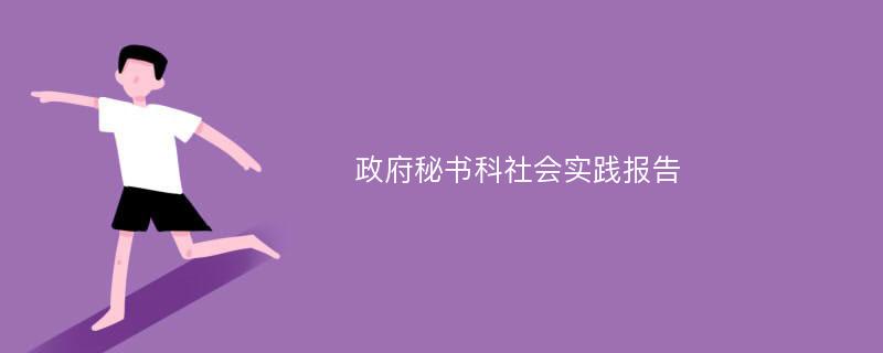 政府秘书科社会实践报告