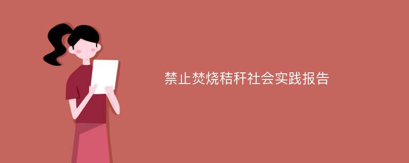 禁止焚烧秸秆社会实践报告