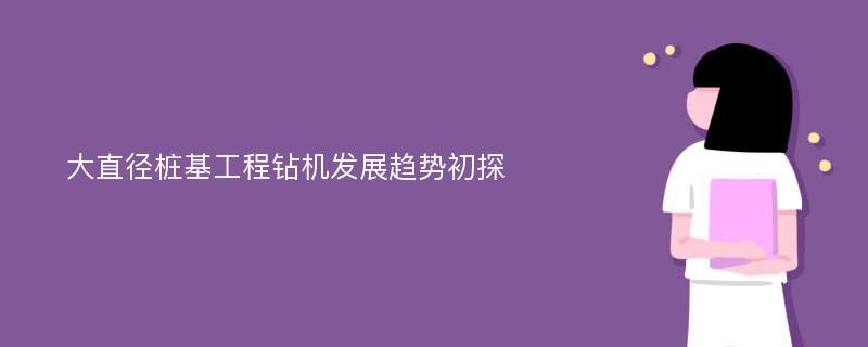 大直径桩基工程钻机发展趋势初探