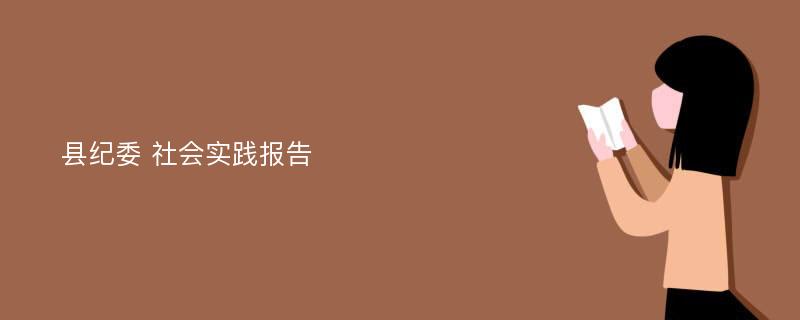 县纪委 社会实践报告