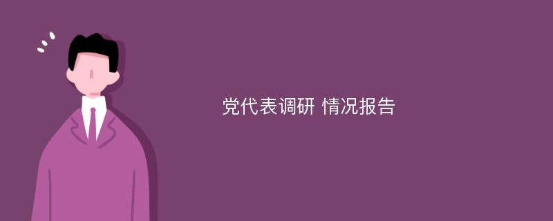 党代表调研 情况报告