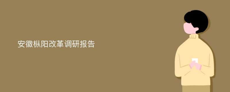 安徽枞阳改革调研报告