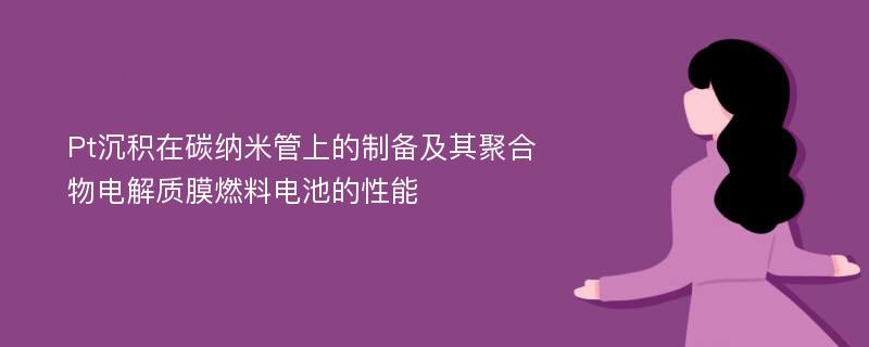 Pt沉积在碳纳米管上的制备及其聚合物电解质膜燃料电池的性能