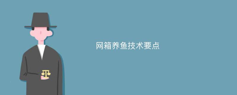 网箱养鱼技术要点