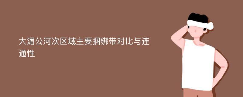 大湄公河次区域主要捆绑带对比与连通性