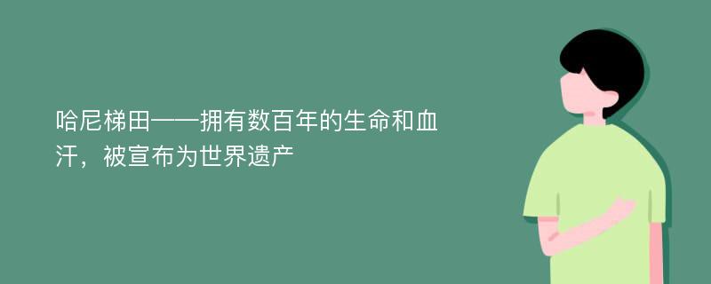 哈尼梯田——拥有数百年的生命和血汗，被宣布为世界遗产