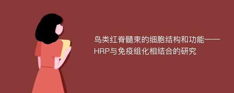 鸟类红脊髓束的细胞结构和功能——HRP与免疫组化相结合的研究