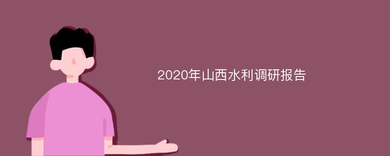 2020年山西水利调研报告