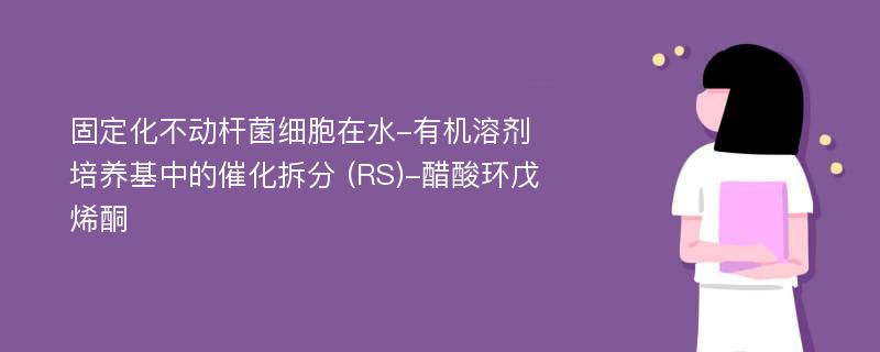 固定化不动杆菌细胞在水-有机溶剂培养基中的催化拆分 (RS)-醋酸环戊烯酮