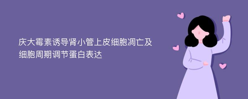 庆大霉素诱导肾小管上皮细胞凋亡及细胞周期调节蛋白表达